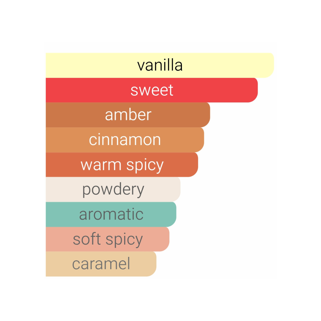 Pirâmide olfativa Stronger With You Intensely: Notas de Toffee, Canela e Camurça