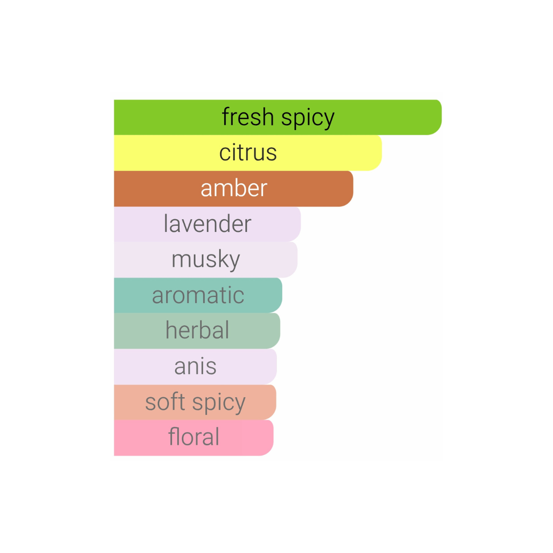 Pirâmide olfativa Dior Sauvage EDP: Notas de Bergamota, Lavanda e Baunilha