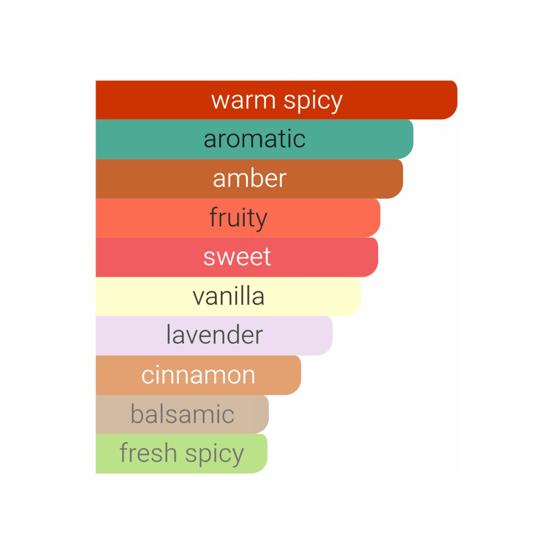 Pirâmide olfativa JPG Le Male Elixir Absolu: Notas de Mel, Tabaco e Baunilha