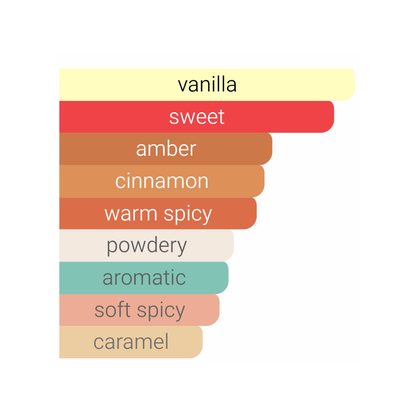 Pirâmide olfativa Stronger With You Intensely: Notas de Toffee, Canela e Camurça