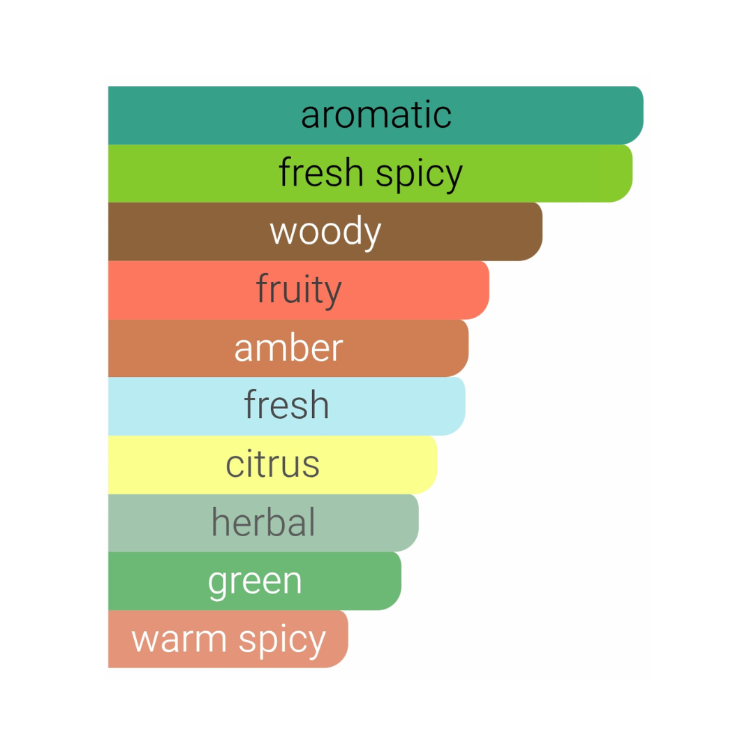 Pirâmide olfativa YSL Y EDP: Notas de Maçã, Gengibre e Sálvia